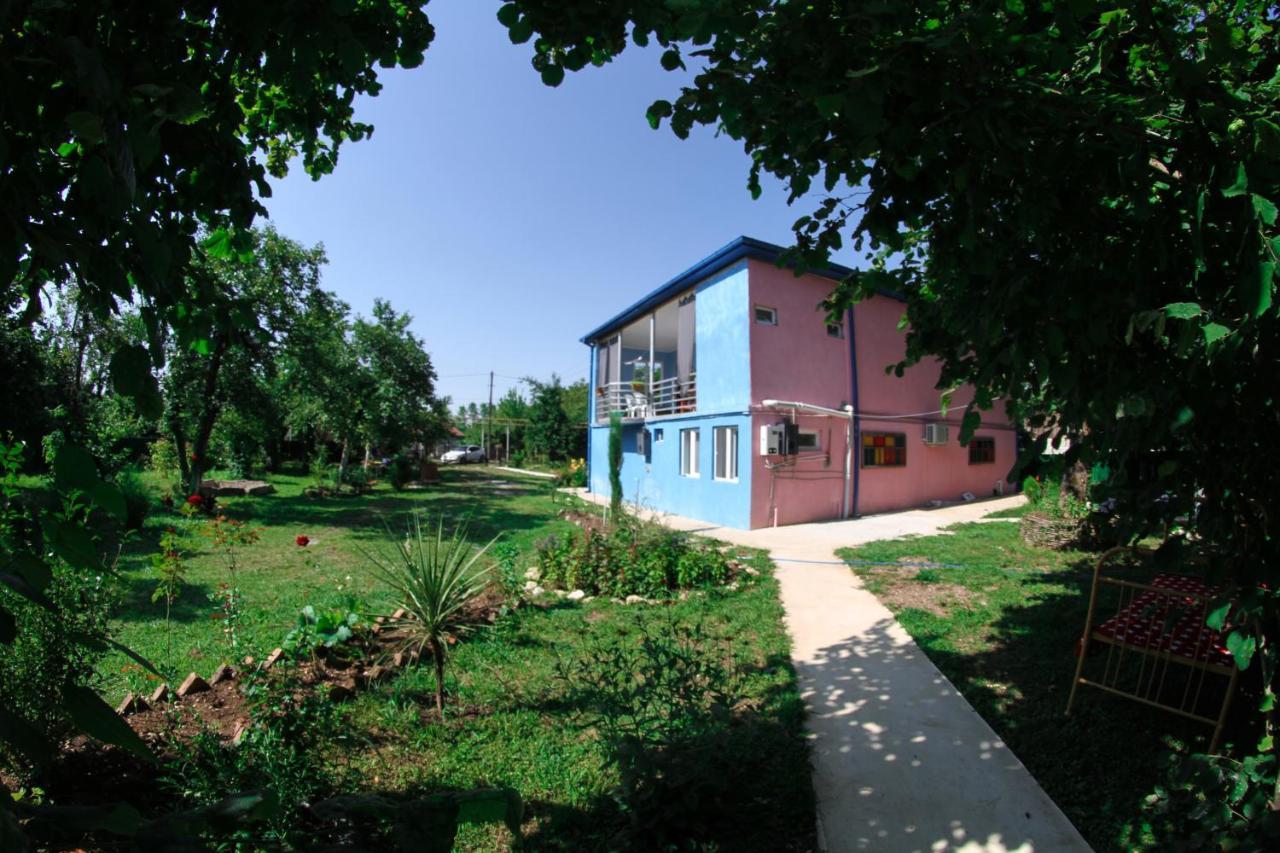 Novel House Apartment Martvili Exterior foto